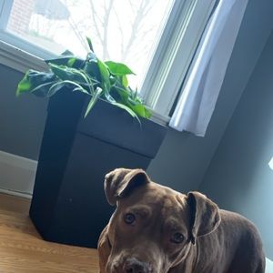 Meet your Posher, Kendra